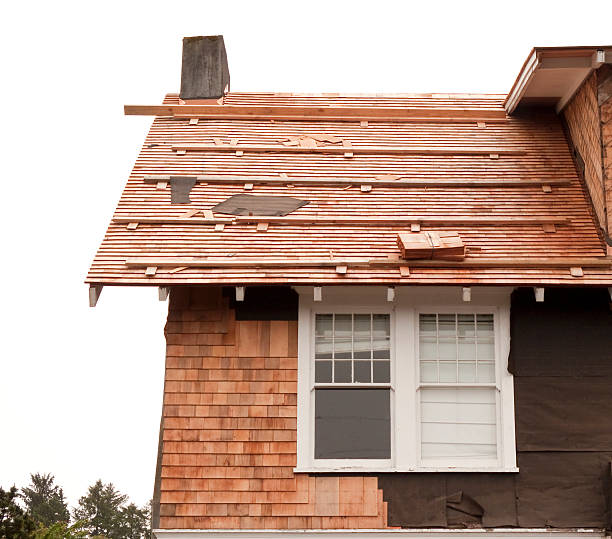 Best Storm Damage Siding Repair  in Hawkins, TX